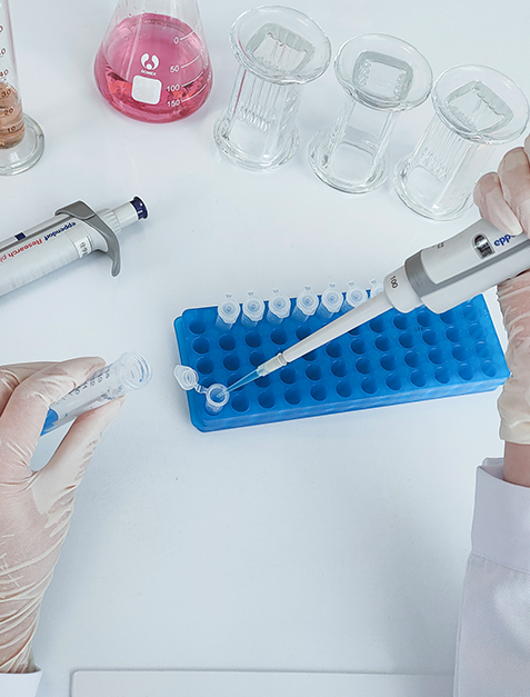 未来之星成长呵护基因解码