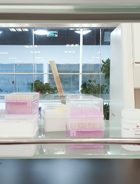 重大疾病基因解码