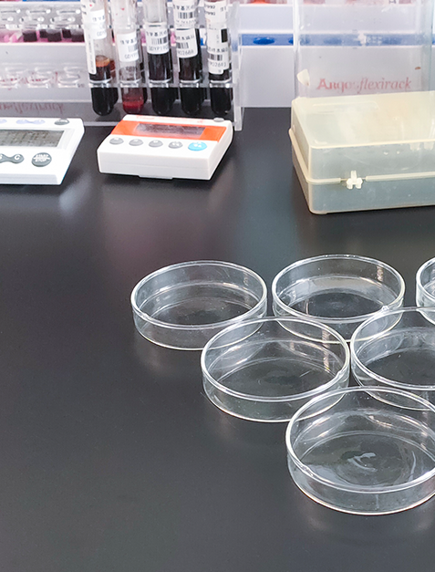 重大疾病基因解码