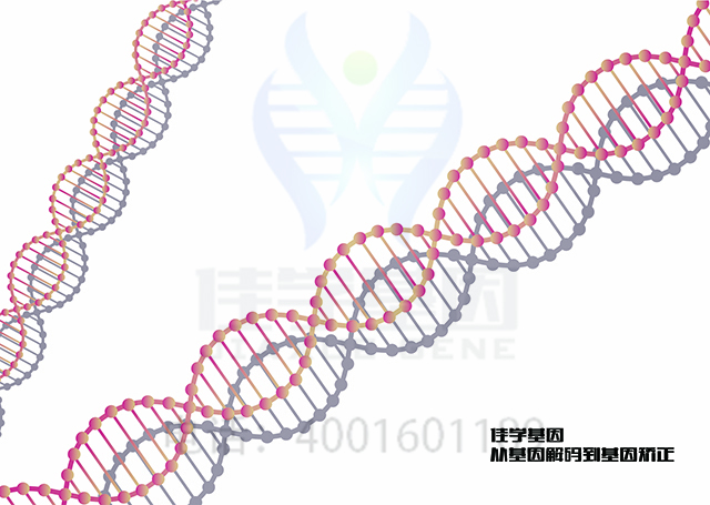 【佳学基因检测】怎样选择C2补体缺乏症基因解码、基因检测? 【佳学基因检测】怎样选择C2补体缺乏症基因解码、基因检测?