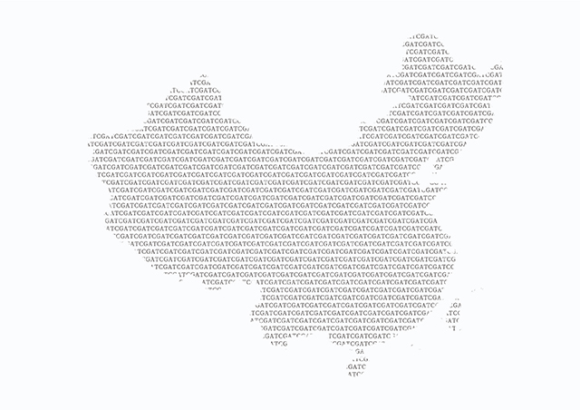 【佳学基因检测】酸性α-葡糖苷酶等位基因2型基因解码、基因检测报告看到懂吗？