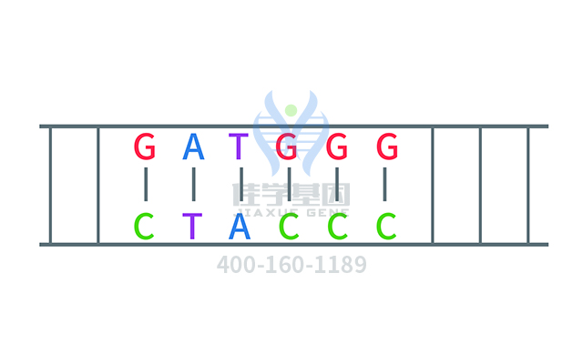 【佳学基因检测