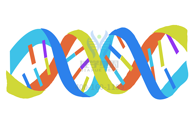 【佳学基因检测】如何区分骨髓增生异常综合症基因解码、基因检测？