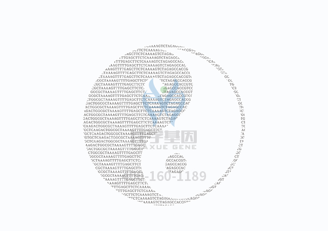 【佳学基因检测】甲状腺激素抵抗基因解码、基因检测怎么预约解读? 【佳学基因检测】甲状腺激素抵抗基因解码、基因检测怎么预约解读?