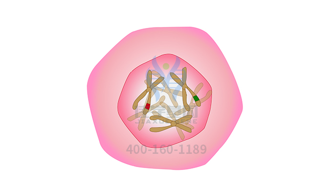 【佳学基因检测】阿司匹林精氨酸盐基因检测