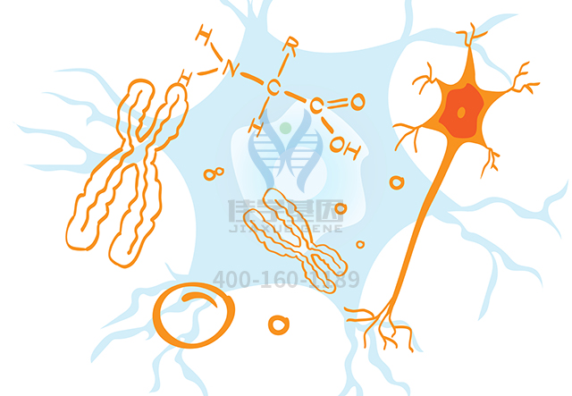 【佳学基因检测】做扩张型心肌病基因解码、基因检测采用什么样品？