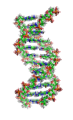 【佳学基因检测】阿替洛尔基因检测