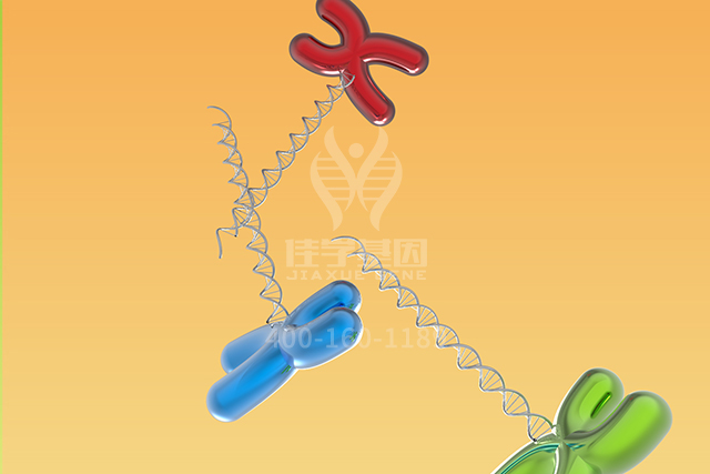 【佳学基因检测】ATP4A分子病理检测的意义