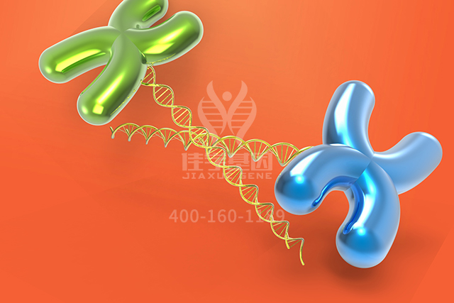 【佳学基因检测】这些关于ART4的内容,是突变检测准确性的必要条件 【佳学基因检测】这些关于ART4的内容,是突变检测准确性的必要条件