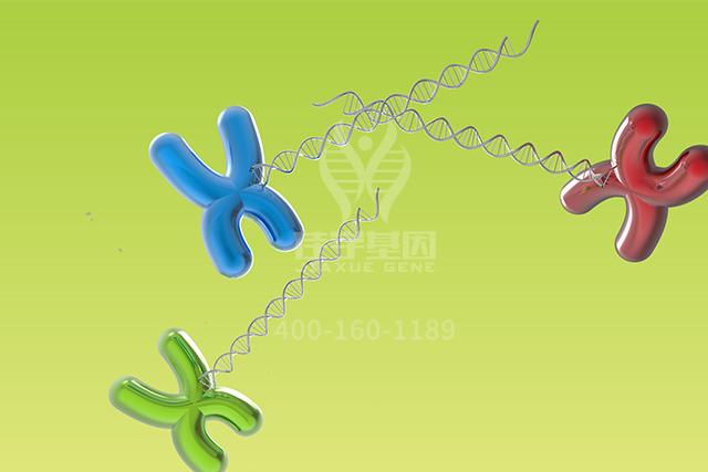 【佳学基因检测】男性生殖遗传学基因检测标准与专家共识 【佳学基因检测】男性生殖遗传学基因检测标准与专家共识