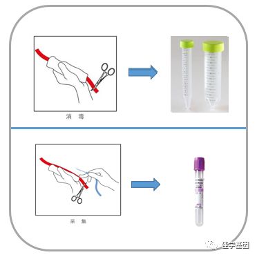 【佳学基因检测】基因检测、基因解码样品采集说明
