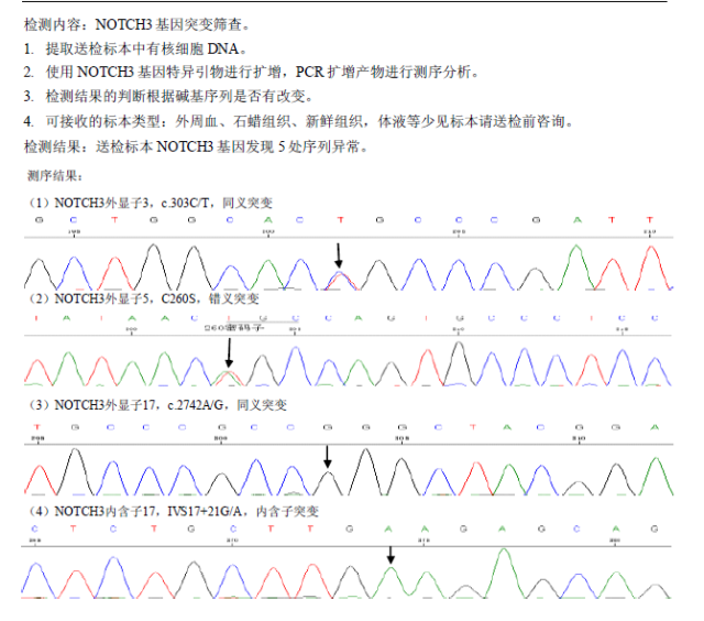 【佳学基因检测】常染色体显性遗传病合并皮质下梗死和白质脑病基因解码、基因检测