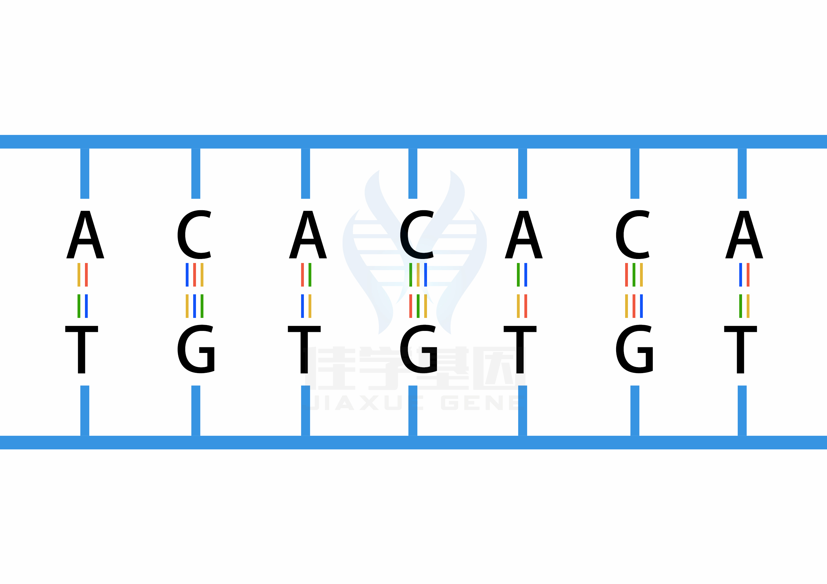 【佳学基因检测】过早脱发、掉发太多怎么办？你的方法可能是错的！
