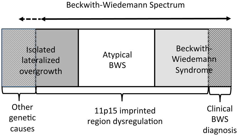 【佳学基因检测】BWS综合征的基因解码、基因检测标准与共识 【佳学基因检测】BWS综合征的基因解码、基因检测标准与共识