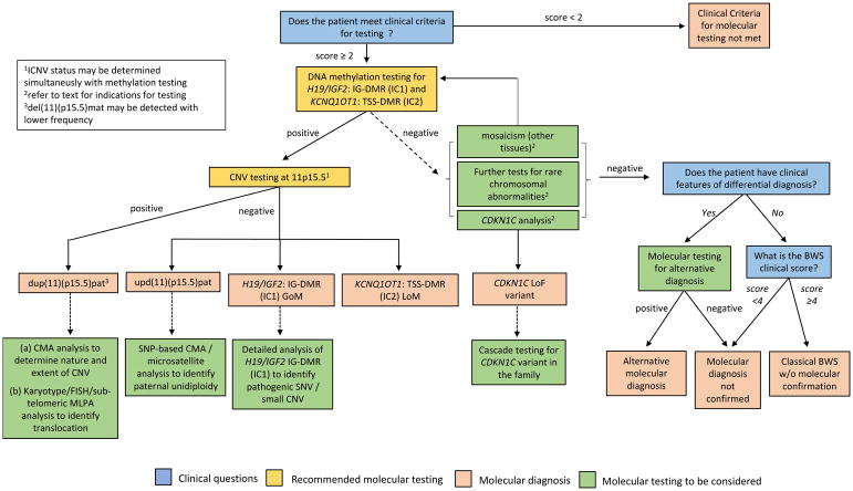 【佳学基因检测】BWS综合征的基因解码、基因检测标准与共识 【佳学基因检测】BWS综合征的基因解码、基因检测标准与共识