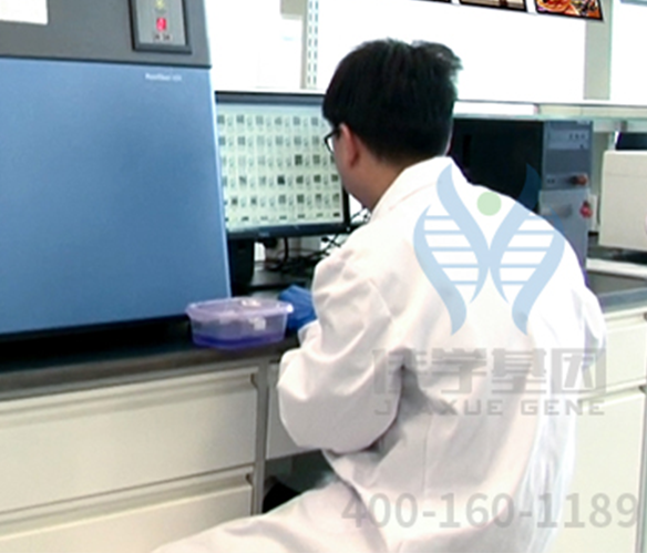【佳学基因检测