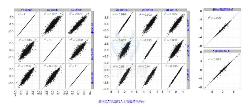 【佳学基因检测】腋下有味道就是狐臭吗？基因解码是怎样提高狐臭基因检测的准确性的？