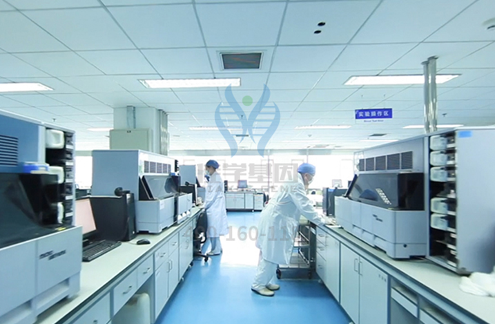 【佳学基因检测】盘古大模型DDX3X疾病筛查的信息标签