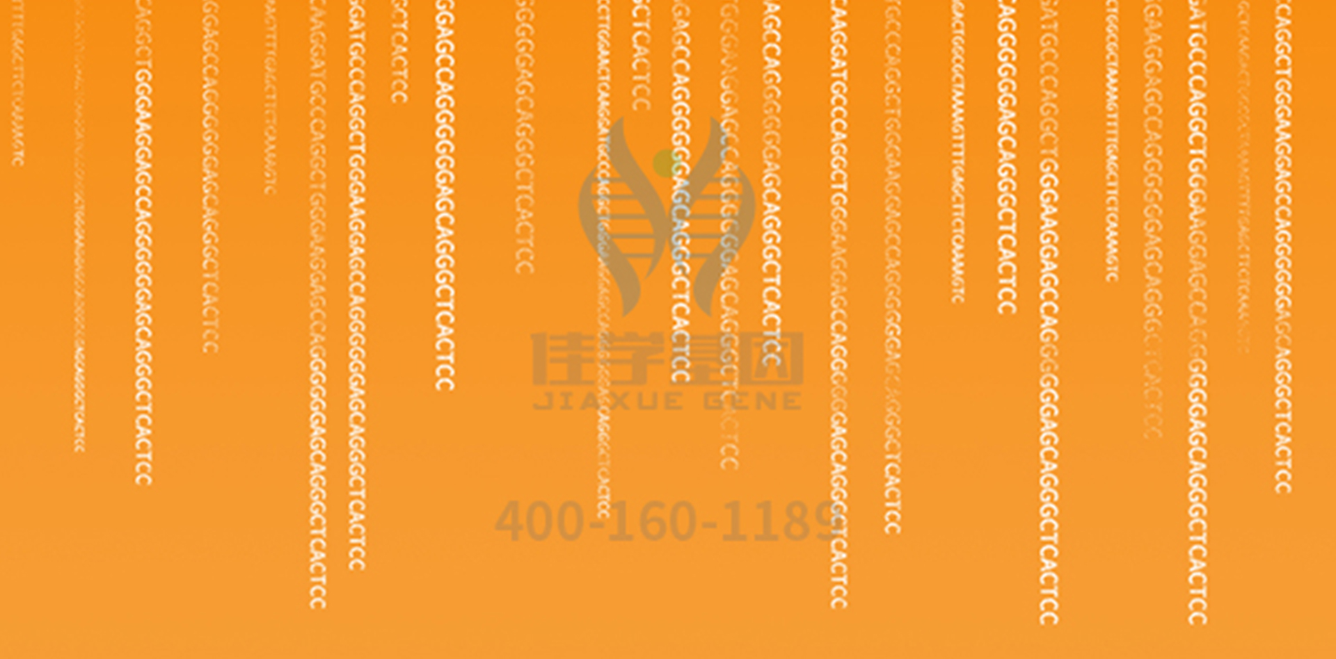 【佳学基因检测】解密DKC1基因检测结果，如何指导一个的健康？