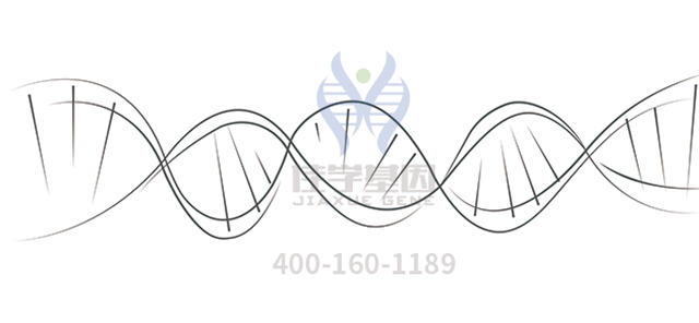 【佳学基因检测