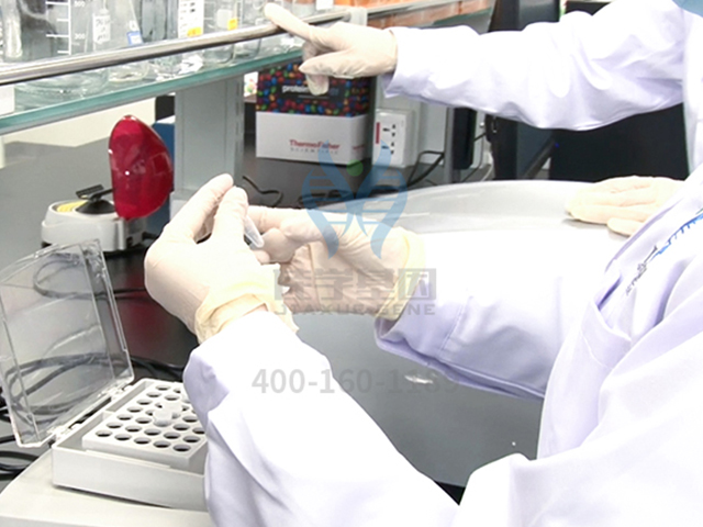 【佳学基因检测