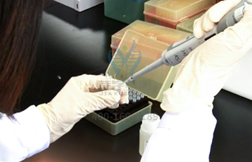 【佳学基因检测】领了结婚证，疾病筛查GCNT1有突变，该告诉她吗？