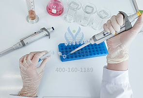 【佳学基因-基因检测】运动基因解码