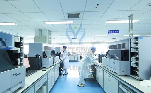 【佳学基因-基因检测】日本历史上第一位平民皇后美智子——罕见连心眉让她变的更加独特！