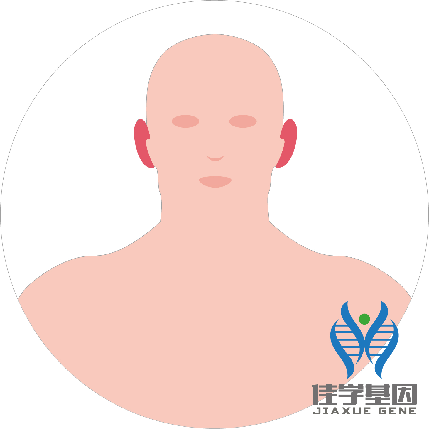 【佳学基因检测