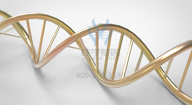 【佳学基因检测】食管腺癌基因解码、基因检测