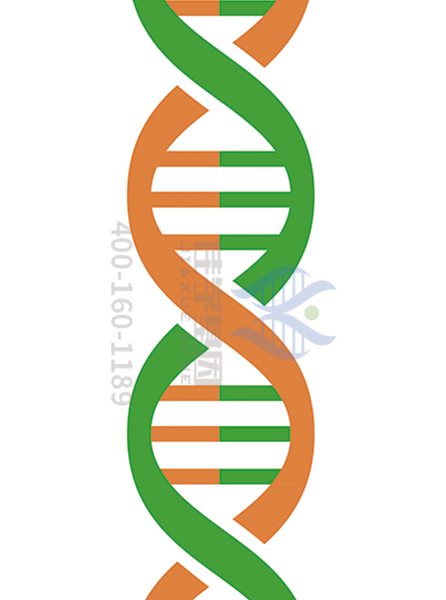 【佳学基因-基因检测】如何才能不患溶血性贫血？