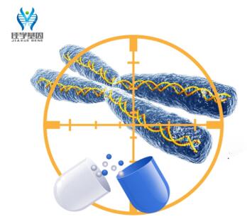 【佳学基因解码-基因检测】家属患了胃肠间质瘤，该如何选择正确的治疗方案？