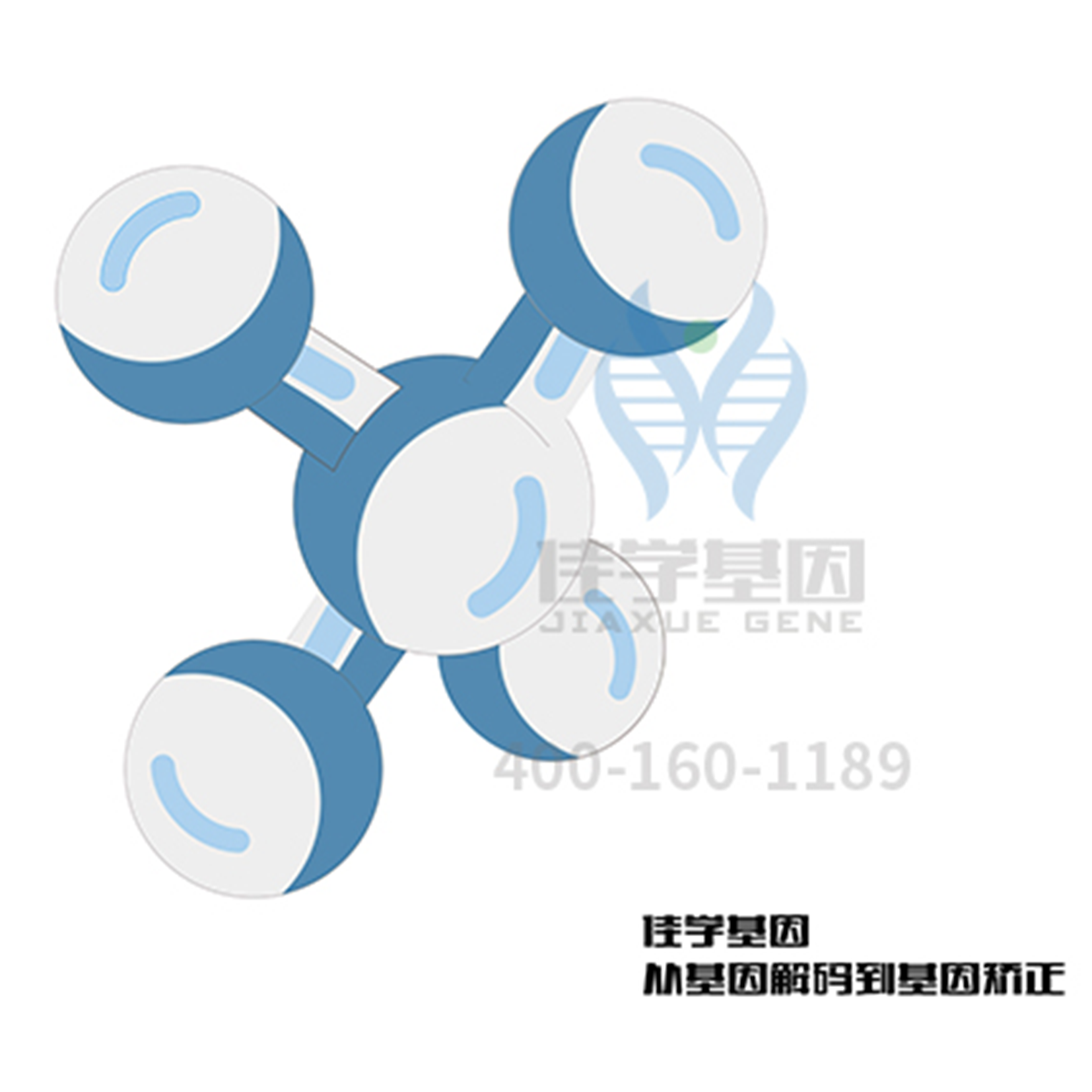 【佳学基因检测】CYP2C9等位基因查询表：基因检测不难了