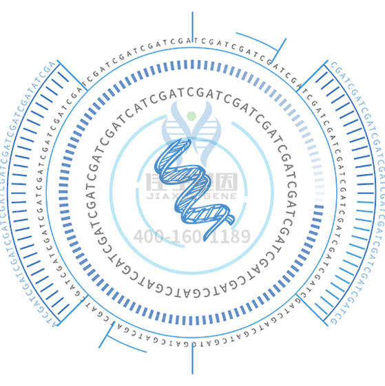 【佳学基因检测