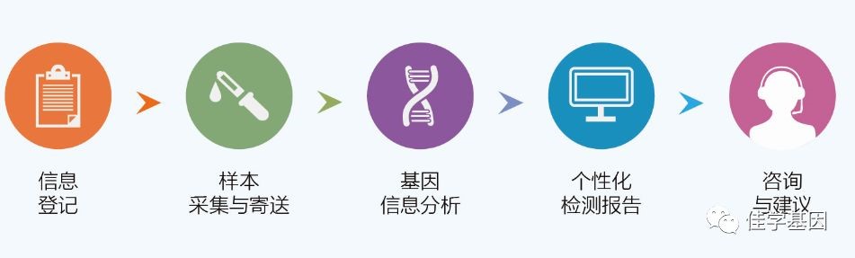 【基因解码项目】佳学基因听觉系统遗传性疾病致病基因鉴定