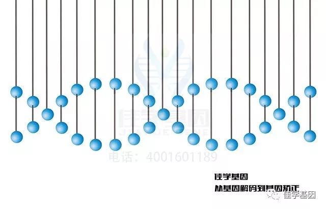 【基因解码项目】佳学基因致病基因鉴定基因解码