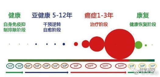 辟谣：胸越大越易得乳腺癌？这几类女人最易患乳腺癌！