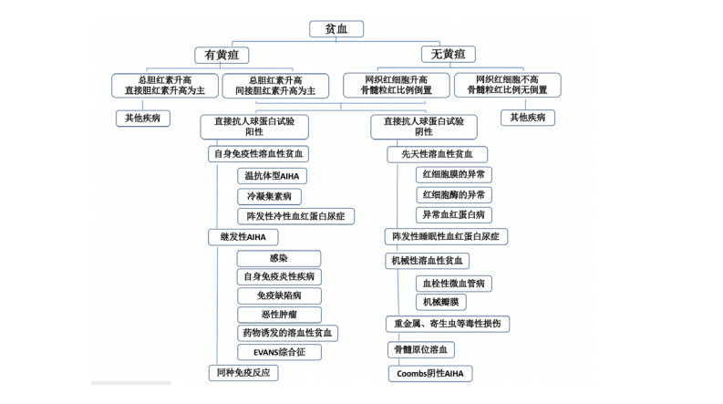 【佳学基因检测】儿童自身免疫性溶血性贫血诊疗规范（2021 年版） 