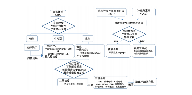 【佳学基因检测】儿童自身免疫性溶血性贫血诊疗规范（2021 年版） 
