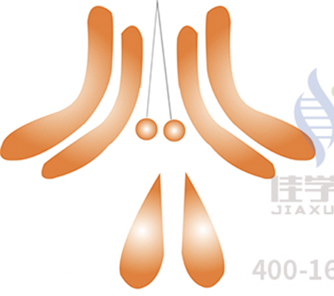 【佳学基因检测】全基因测序EVI2B分子病理检测有意义未明突变，我该怎么办？