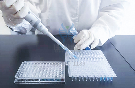 【佳学基因检测】医学博士MTOR分子病理检测的知识结构准备