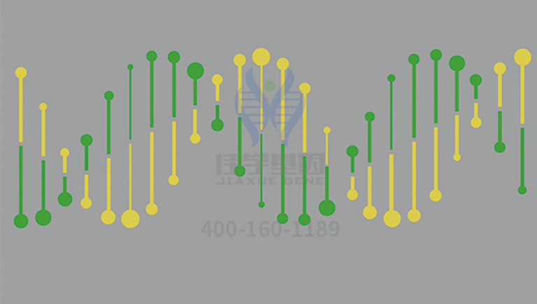 【佳学基因检测】微阵列突变检测S1PR3突变的结果可靠吗？