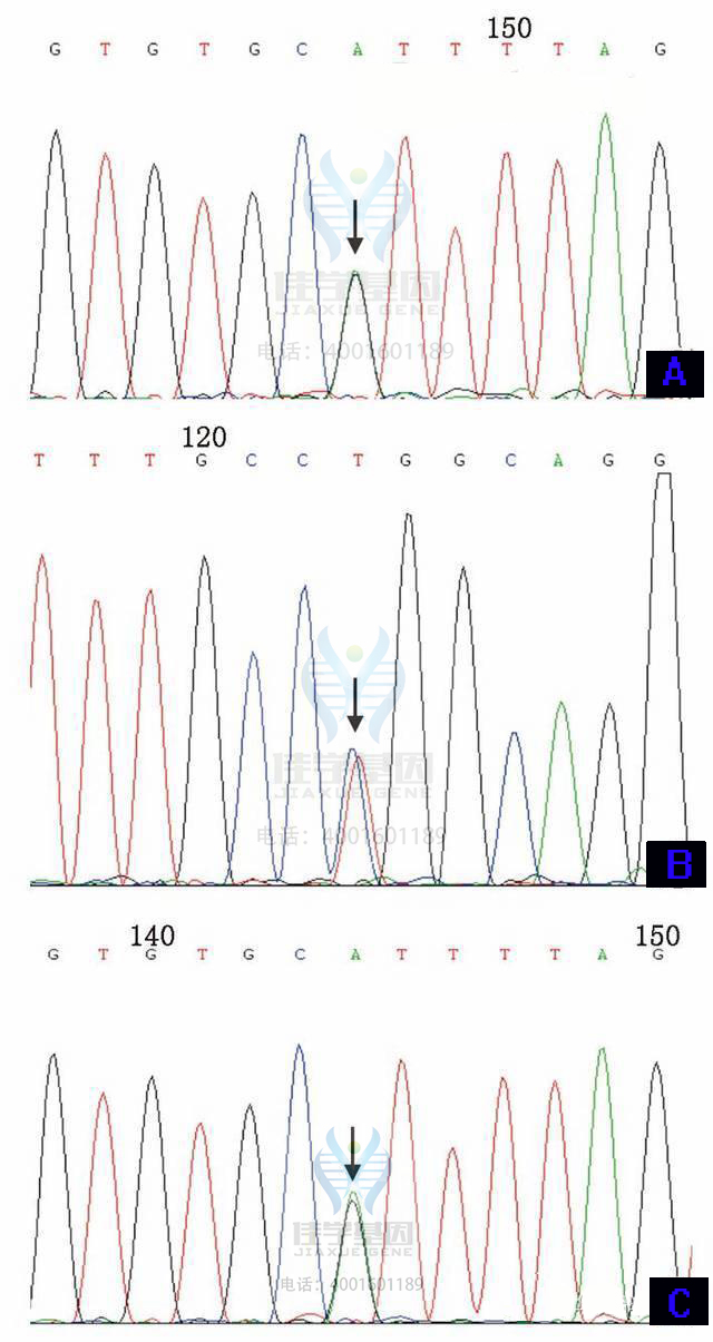 【佳学基因检测】讯飞星火认知大模型中NR2F6遗传测试知识信息源分析