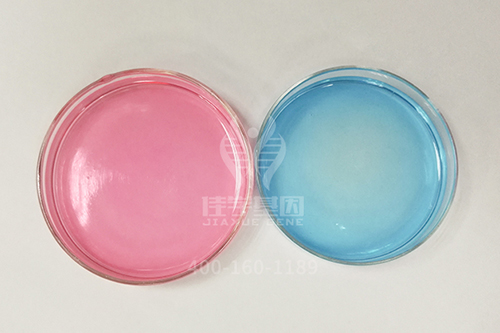 【佳学基因检测】心血管内科遗传测试考查中关于ENSA的要点