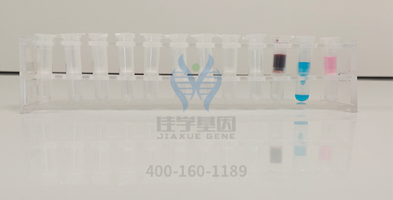 【佳学基因-基因检测】基因解码专家揭示：为什么有些人对免疫疗法的反应比其他人好？