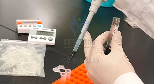 【佳学基因-基因检测】命中注定“单身狗”