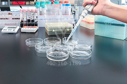 【佳学基因检测】维生素E需求基因解码、基因检测 【佳学基因检测】维生素E需求基因解码、基因检测