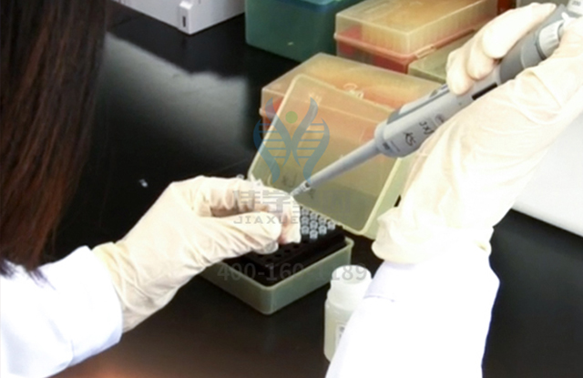 【佳学基因-基因检测】《中餐厅》第六期张亮累出心肌炎：一个容易误诊而又不能忽视的疾病！