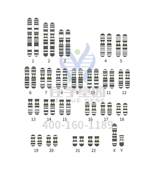【佳学基因检测】防止儿童患佝偻病，应早发现早治疗
